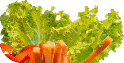 A close up of carrots and lettuce