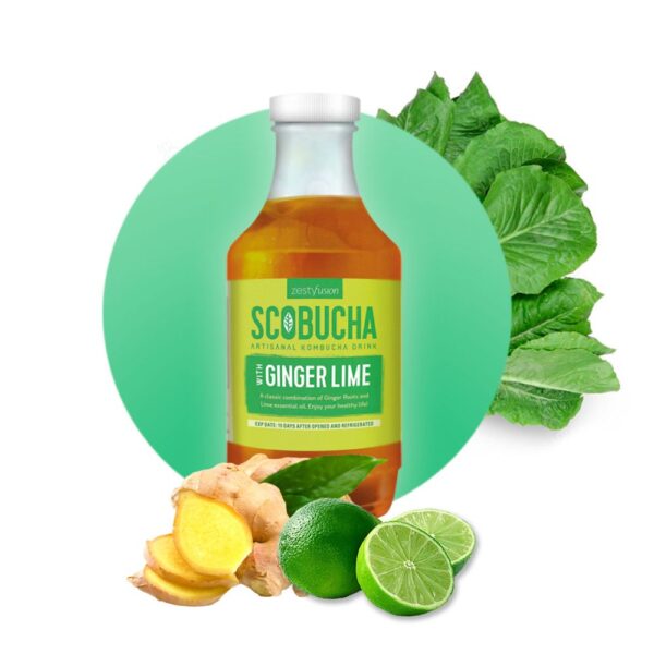 Scobucha Ginger Lime