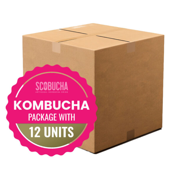 Kombucha 12 Pack