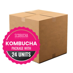 A cardboard box with kombucha on top of it.