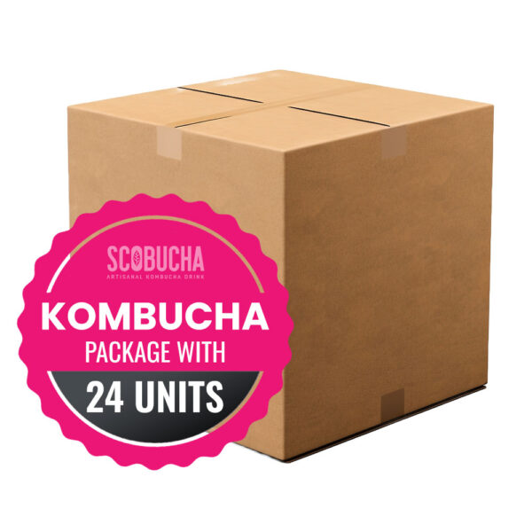 Kombucha 24 Pack