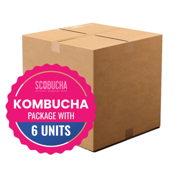 Kombucha 6 Pack