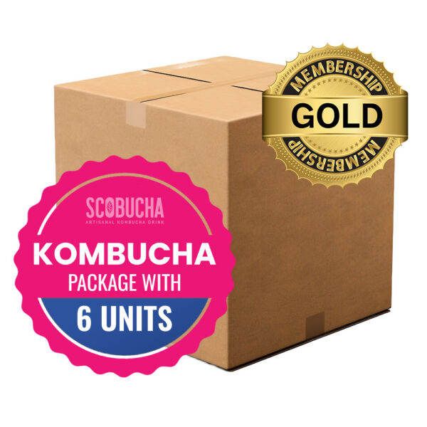 Kombucha Membership 6 Pack